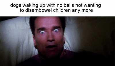 Genital mutilation but funny (it happened to an animal!)