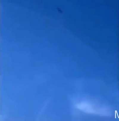 Forget Hampter, say hello to Duk