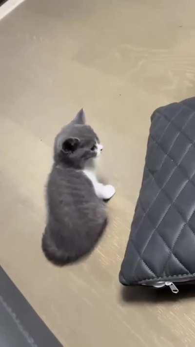 Yes she is really going to sleep again