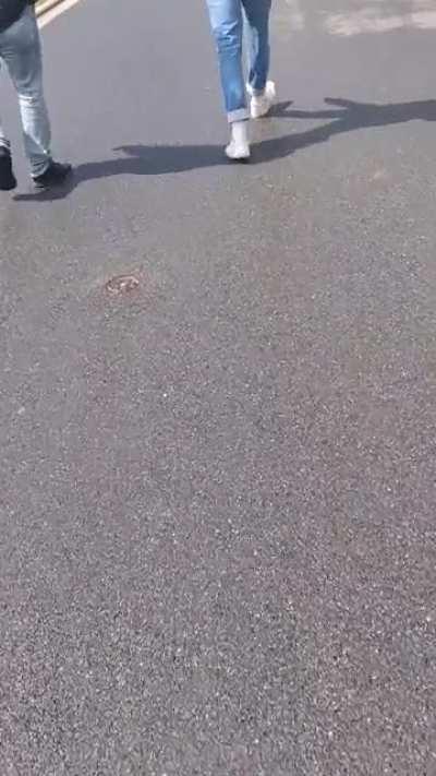 Rainer schreit rum obwohl die Haider längst auf dem Weg nach Hause waren, anstatt ruhig zu werden {19.05.2021}