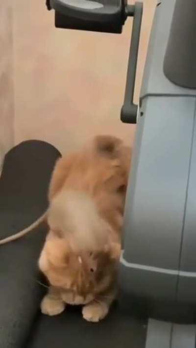 A little annoying friend