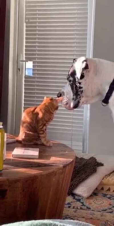 Was told this belonged here...:)❤️