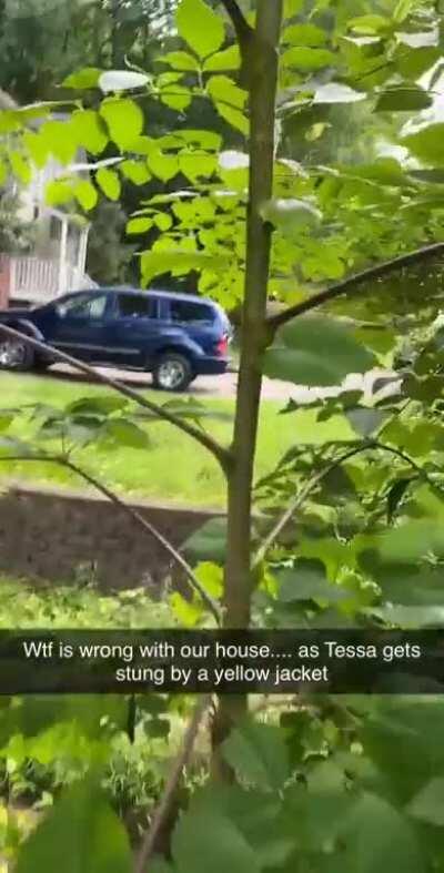 Our new house has many dangers