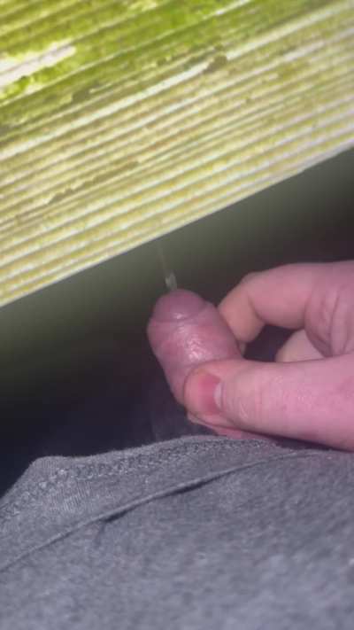 I promise, it grows if you hold it for me 😉