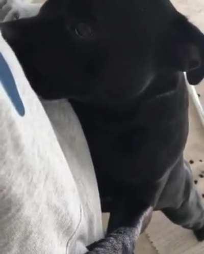 This is the definition of puppy dog eyes