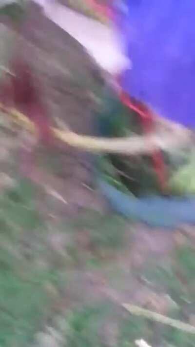 STONED HAWK hangs with me for an hour