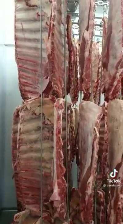 Imágenes exclusivas desde el interior del Fuerte Knox.