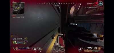 Gave bloodhound a little razzle dazzle