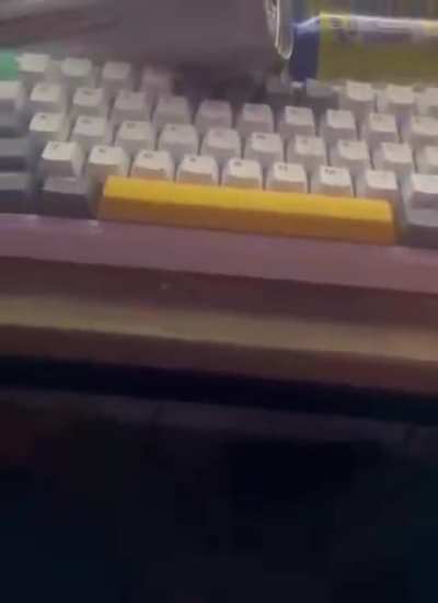 Repost of recent post this time with sound