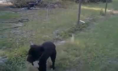 The dust behind him makes it.