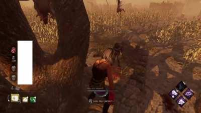 I fell up the meat tree (high ping)