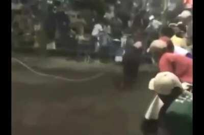 Woman gets knocked out and turned into Ragdoll on Bull