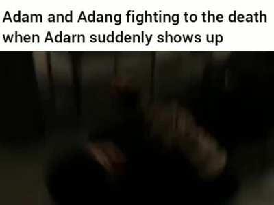 Any Adams out there that can confirm?