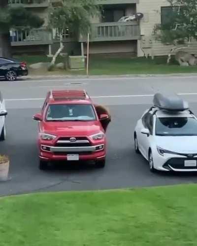 don't leave your windows down