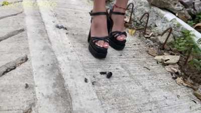 Kelly squish some bugs