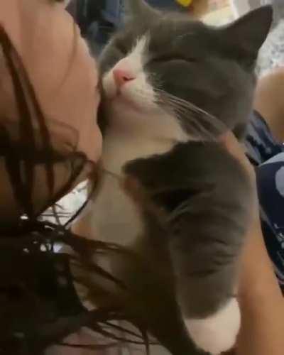 Refusing kisses even when asleep