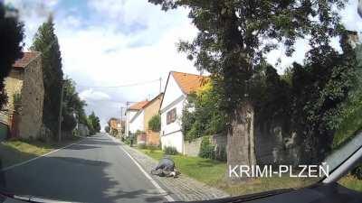 [Czech Republic] Off duty police officer saves his mother from a dog attack