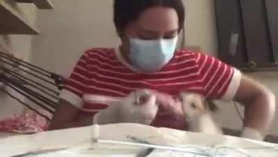 So… you’re saying “your Cat ate your homework…?”