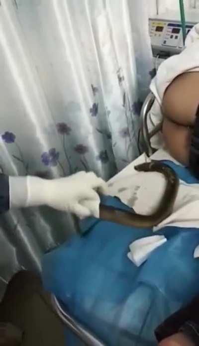 Yes, that's a freakin eel.