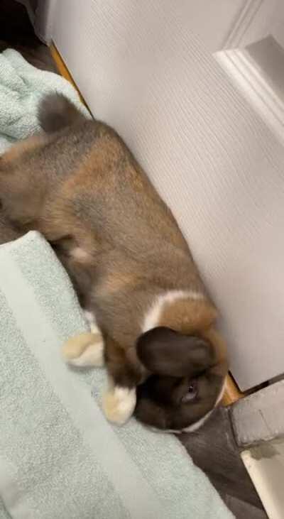 I call it the mini plop