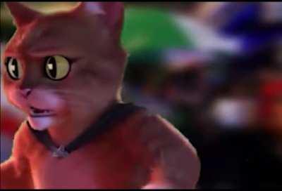 Tomem muito cuidado gatos desse tal de doazin,pois o lobo vai...