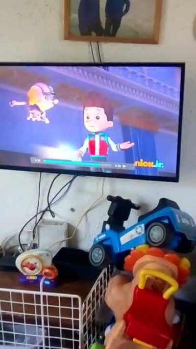 Encontre la legendaria Jojo reference en Paw Patrol