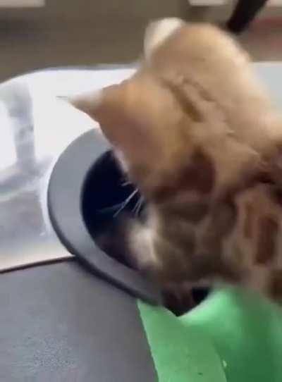 Guess I'm a billiard ball now