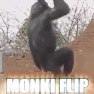 Monki flipp