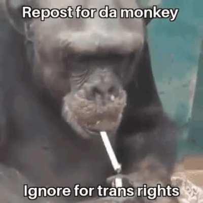 ⠀⠀⠀⠀⠀⠀⠀⠀⠀