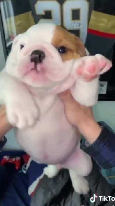 It's time for school