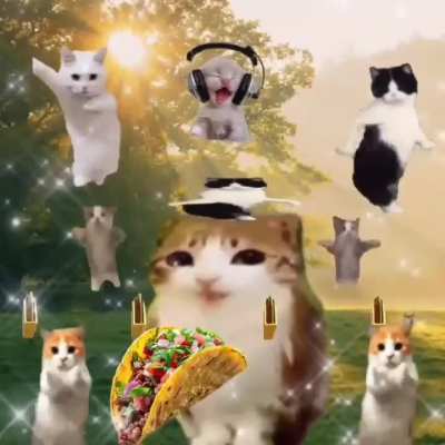 Is corpse minos big?(Wrong answers and vid unrelated)