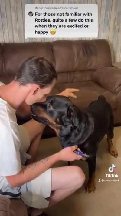 Clipping the dogs nails - Hardcore edition