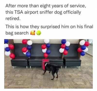 The surprise TSA airport staff arranged for this good boy
