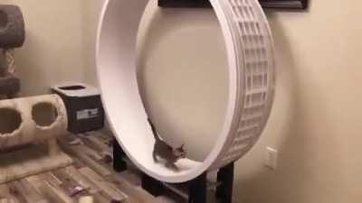 Ever wondered who makes this subreddit run?