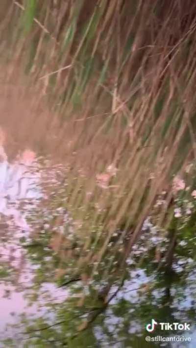 This made me really dizzy