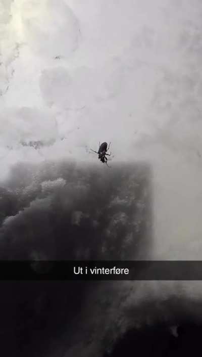 Who is this lad and why is he out and about