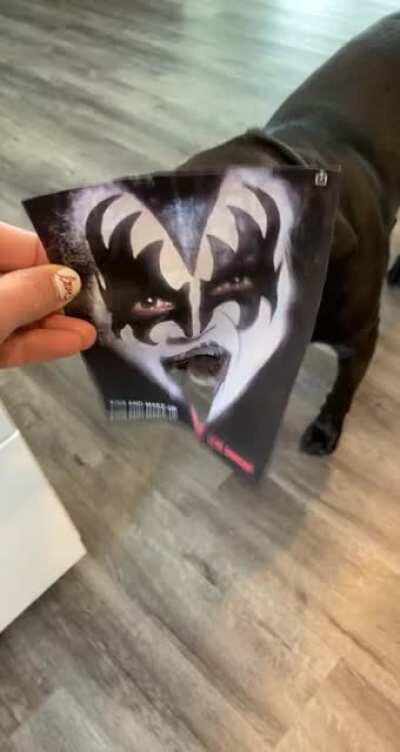 Today was a productive day