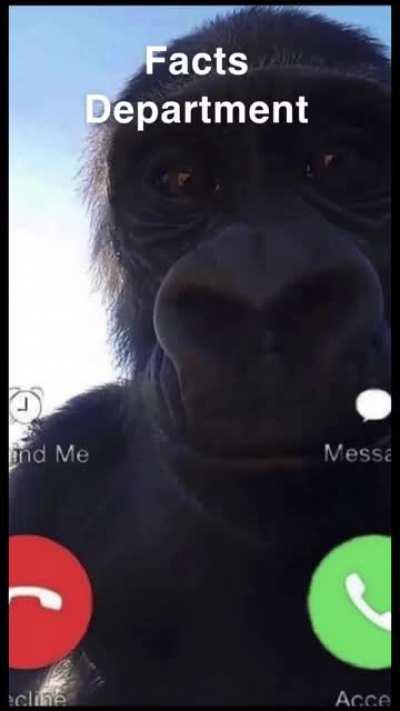 Are you gonna answer?