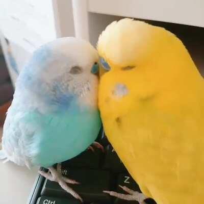 何回も見せられてる人すみません💦 お気に入りの過去動画です💓