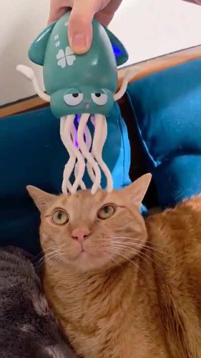 Alien Squid sucks the brain out of mg orange