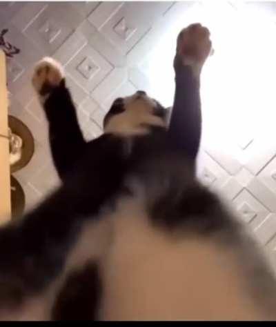 DFV IS NOT A FKN CAT!! Give the man his awards!