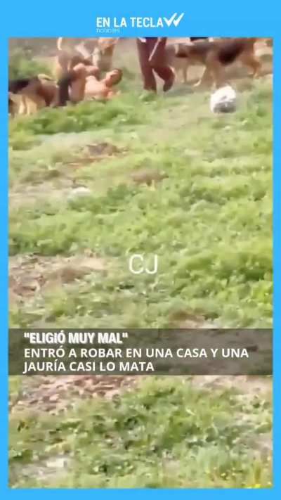 Tucum&aacute;n: Entr&oacute; a robar a una casa y una jaur&iacute;a casi lo mata