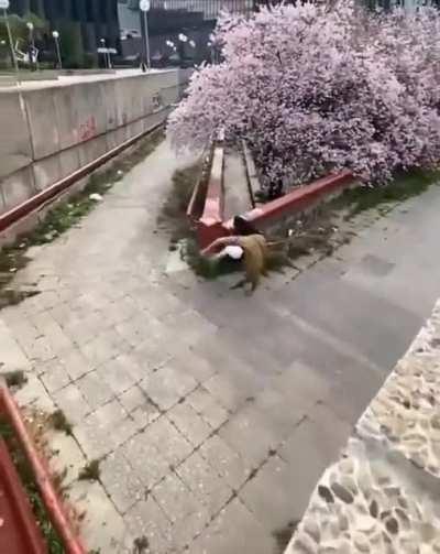 WCGW if i jump from here?