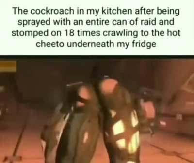 anyone know the name of the song that plays in this meme?