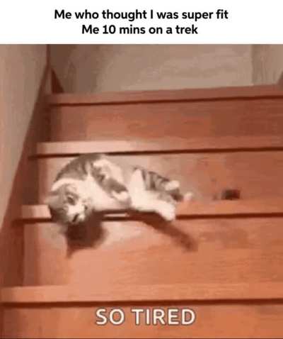 Who all underestimated the energy that is used in trek?