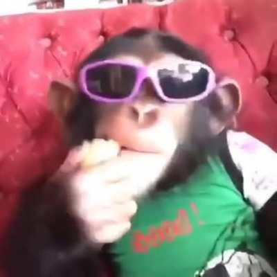 Pov: streaming de orslok