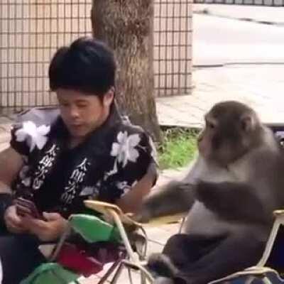 Just two buds hanging out