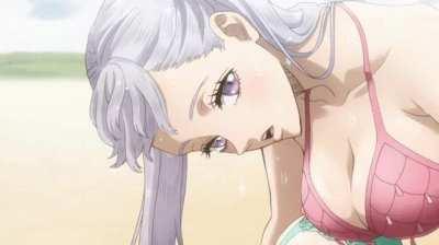 Noelle and mimosa [black clover]