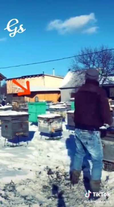 Nailed that second shot!