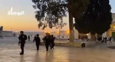 Israeli Police assaulted photojournalist Alaa Al-Sous 3 years, she was urged to file a complaint. Today she was informed Israel found the cop not guilty